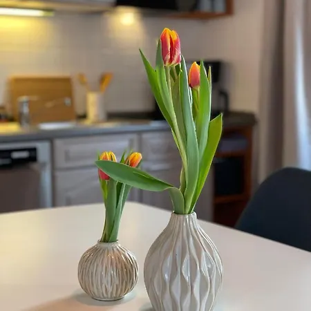 St. Martin -1801- * Sankt Martin