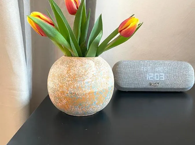 Apartman St. Martin -1801- *