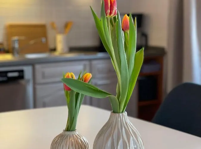 St. Martin -1801- * Sankt Martin